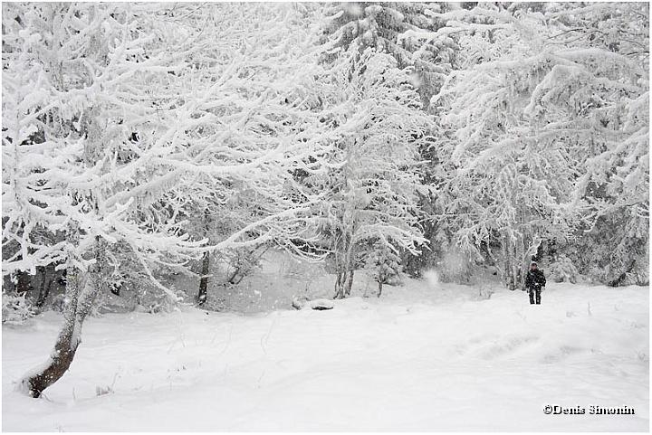 Décembre - Balade sous la neige en Chartreuse